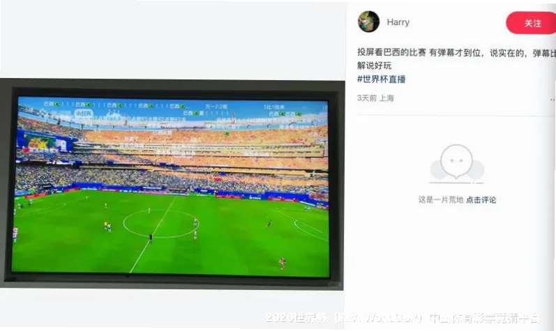 历史命中率展示